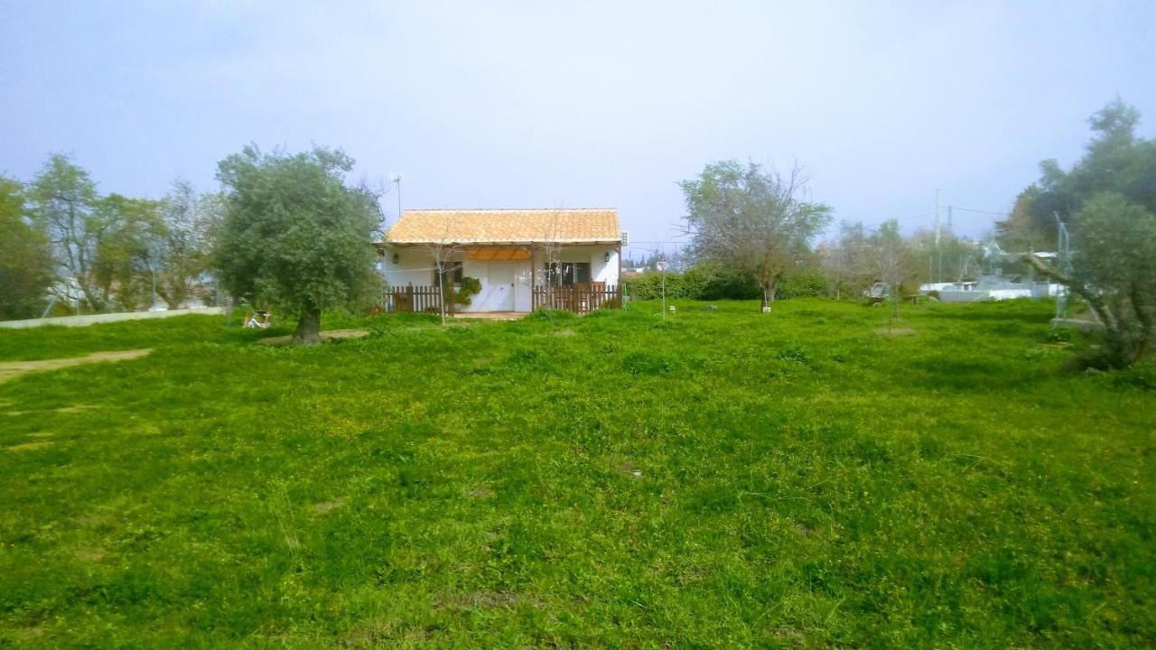 Casa De Campo Los Manueles Ideal Perros Pet Friendly Gojar Luaran gambar