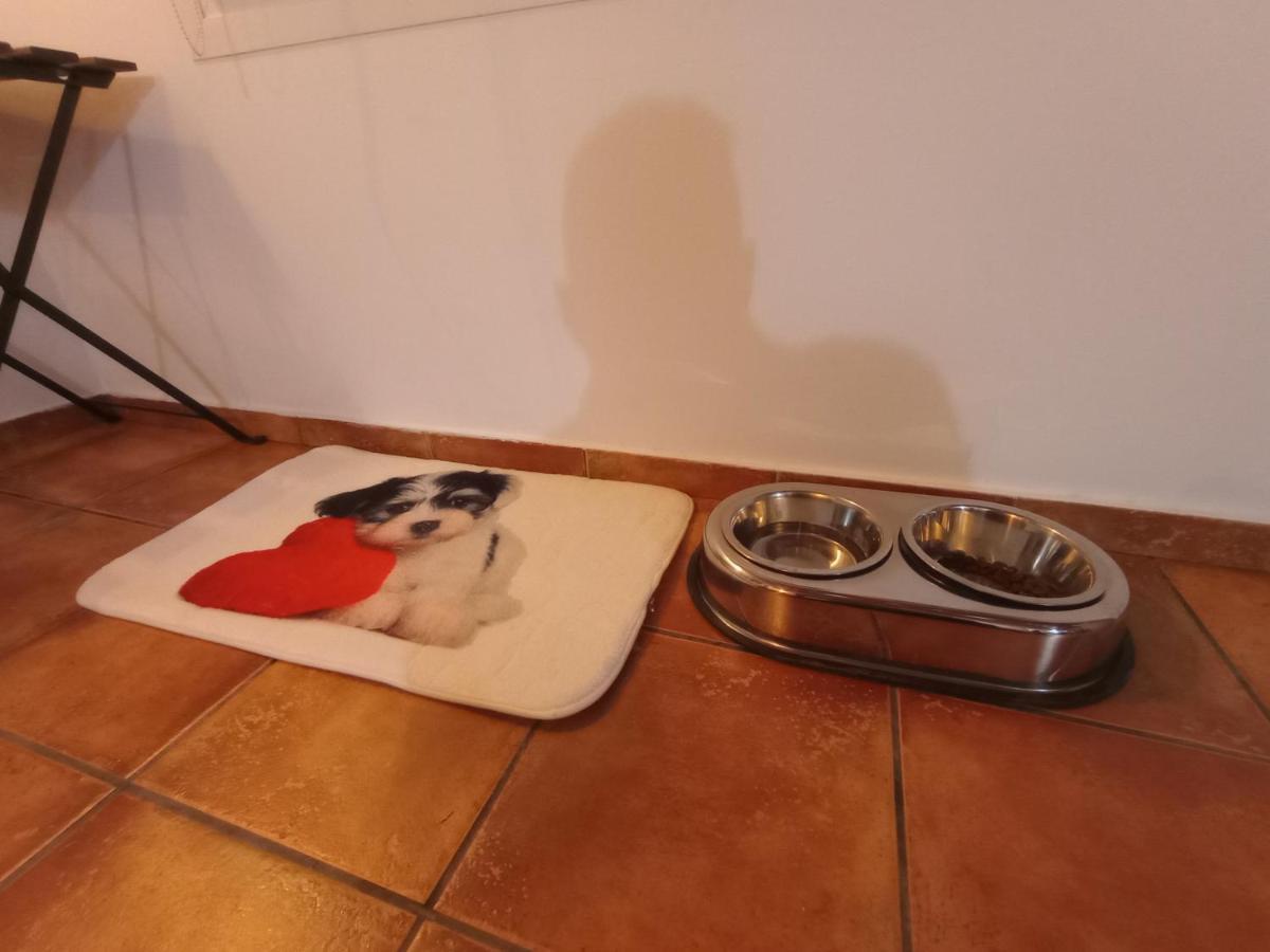Casa De Campo Los Manueles Ideal Perros Pet Friendly Gojar Luaran gambar