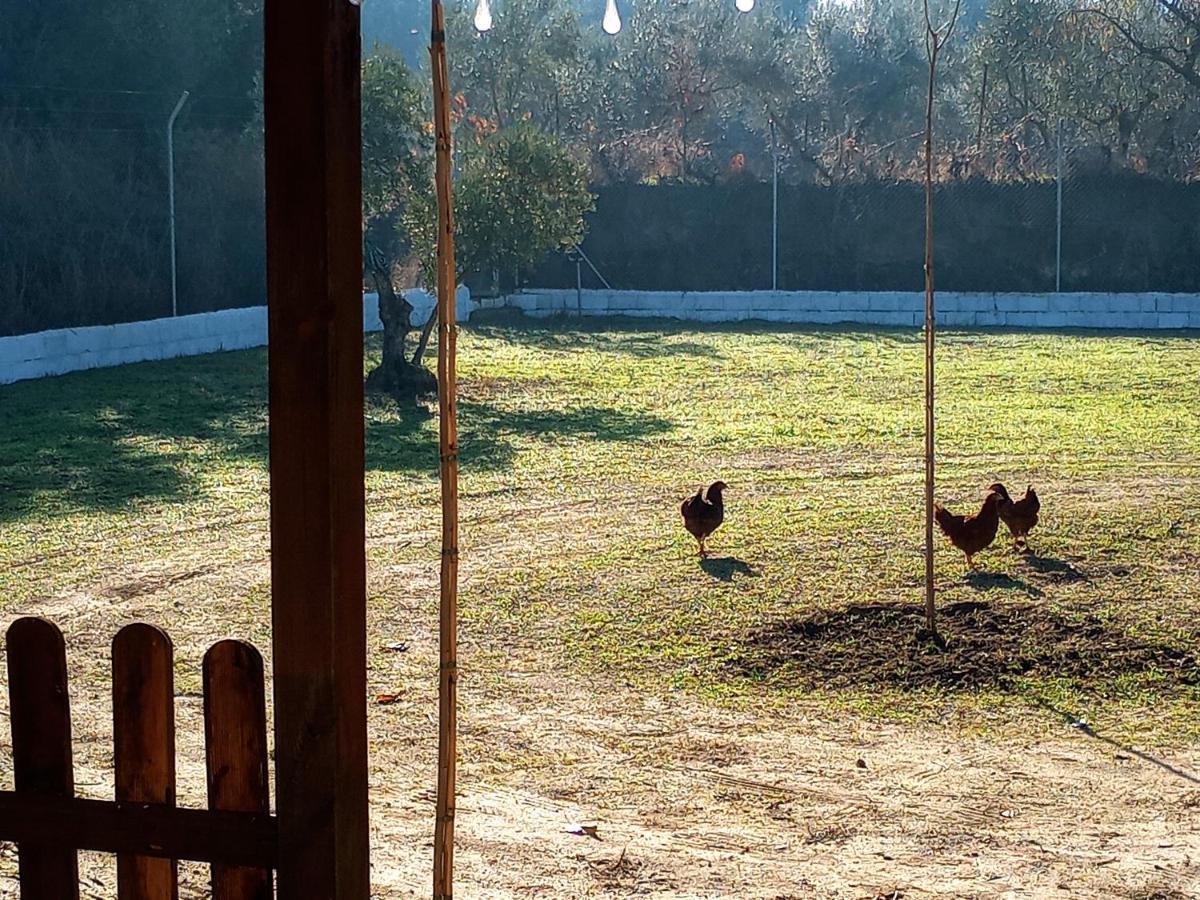 Casa De Campo Los Manueles Ideal Perros Pet Friendly Gojar Luaran gambar