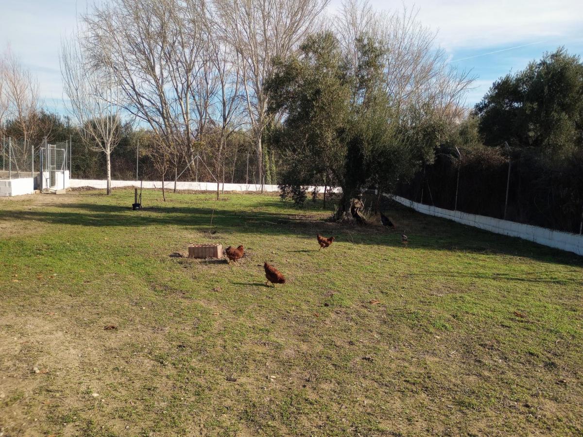 Casa De Campo Los Manueles Ideal Perros Pet Friendly Gojar Luaran gambar