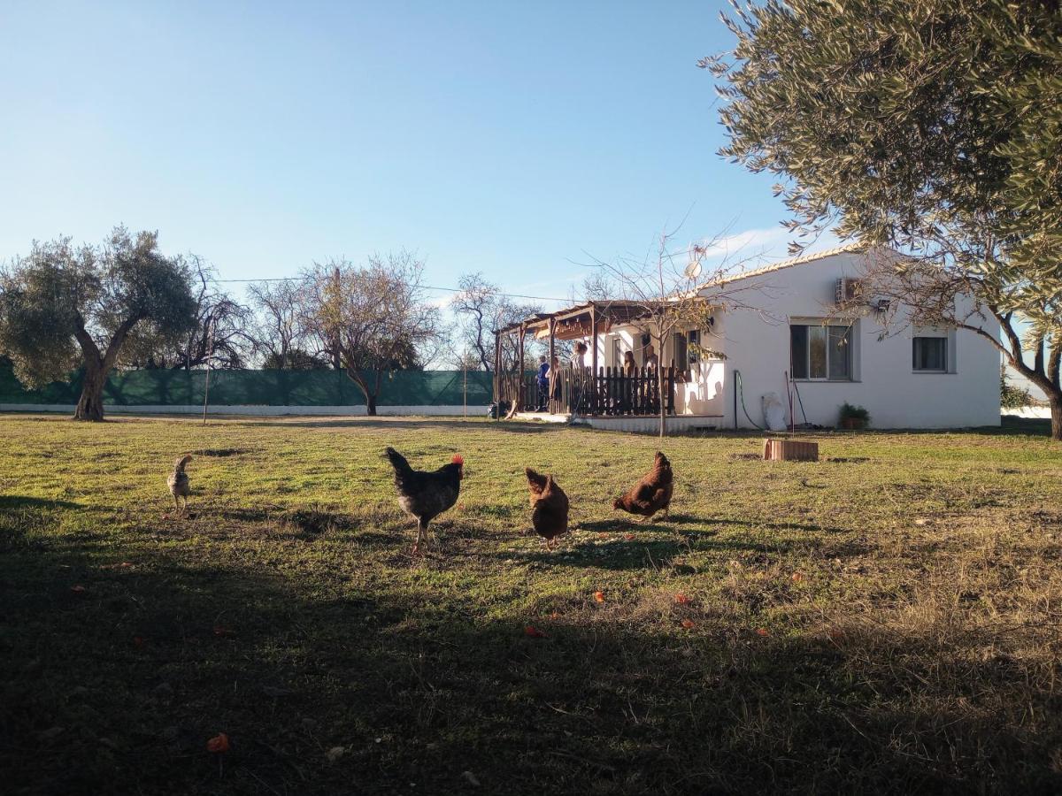 Casa De Campo Los Manueles Ideal Perros Pet Friendly Gojar Luaran gambar