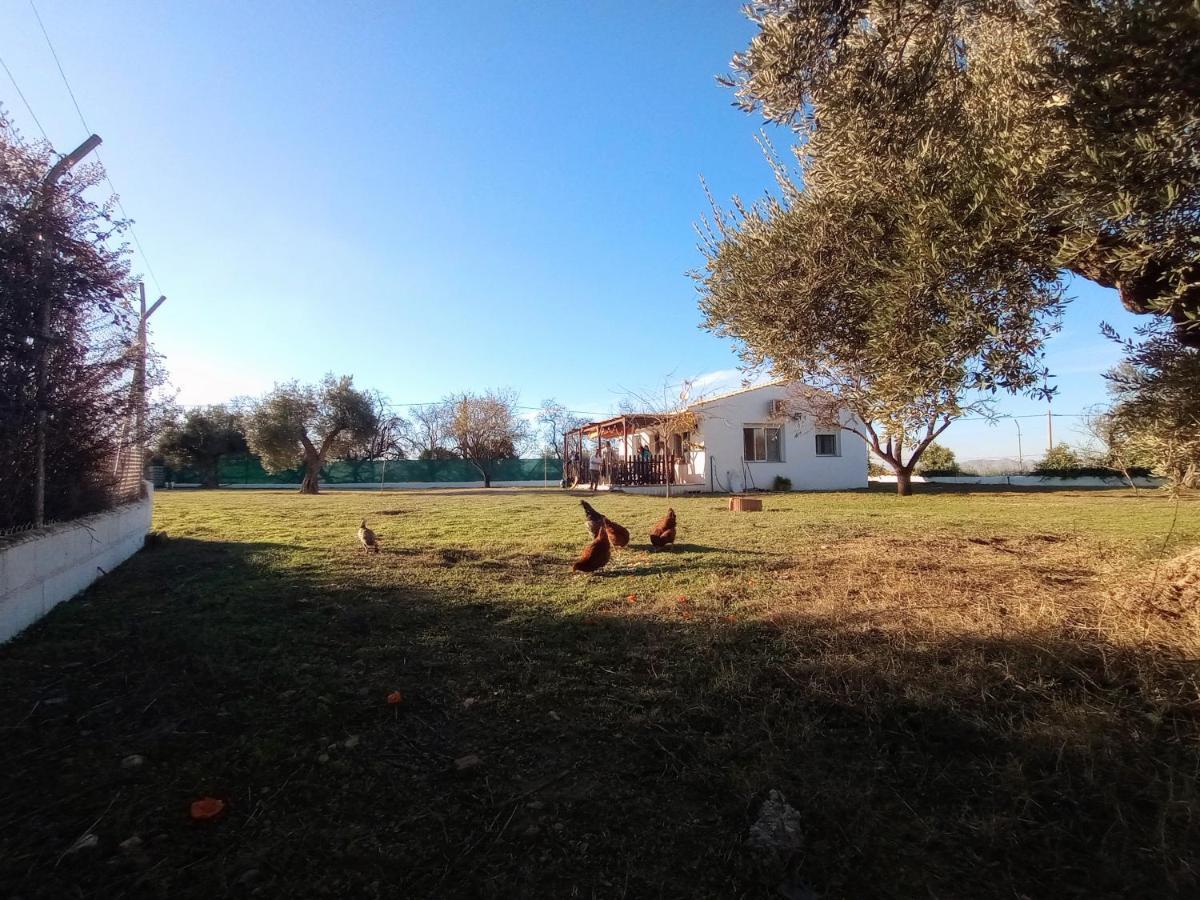 Casa De Campo Los Manueles Ideal Perros Pet Friendly Gojar Luaran gambar