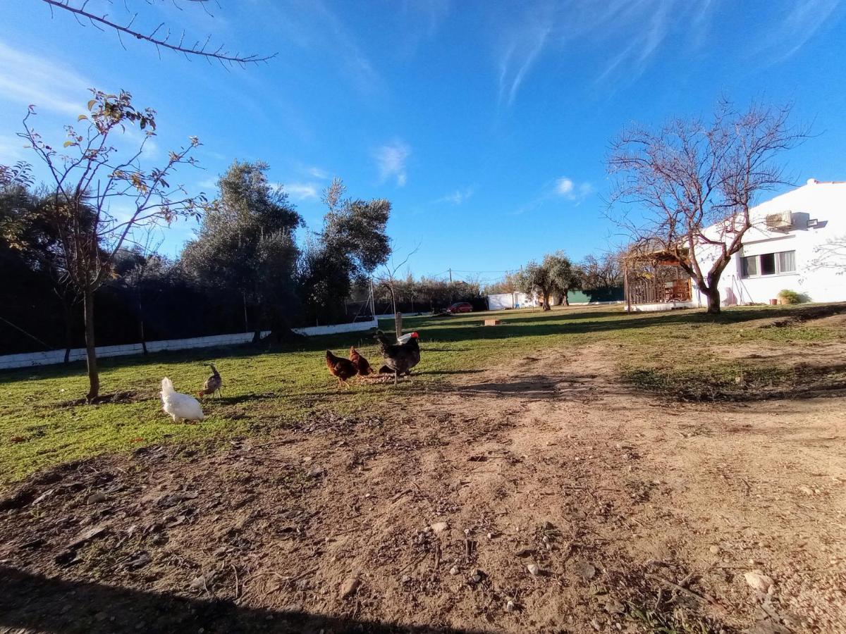 Casa De Campo Los Manueles Ideal Perros Pet Friendly Gojar Luaran gambar