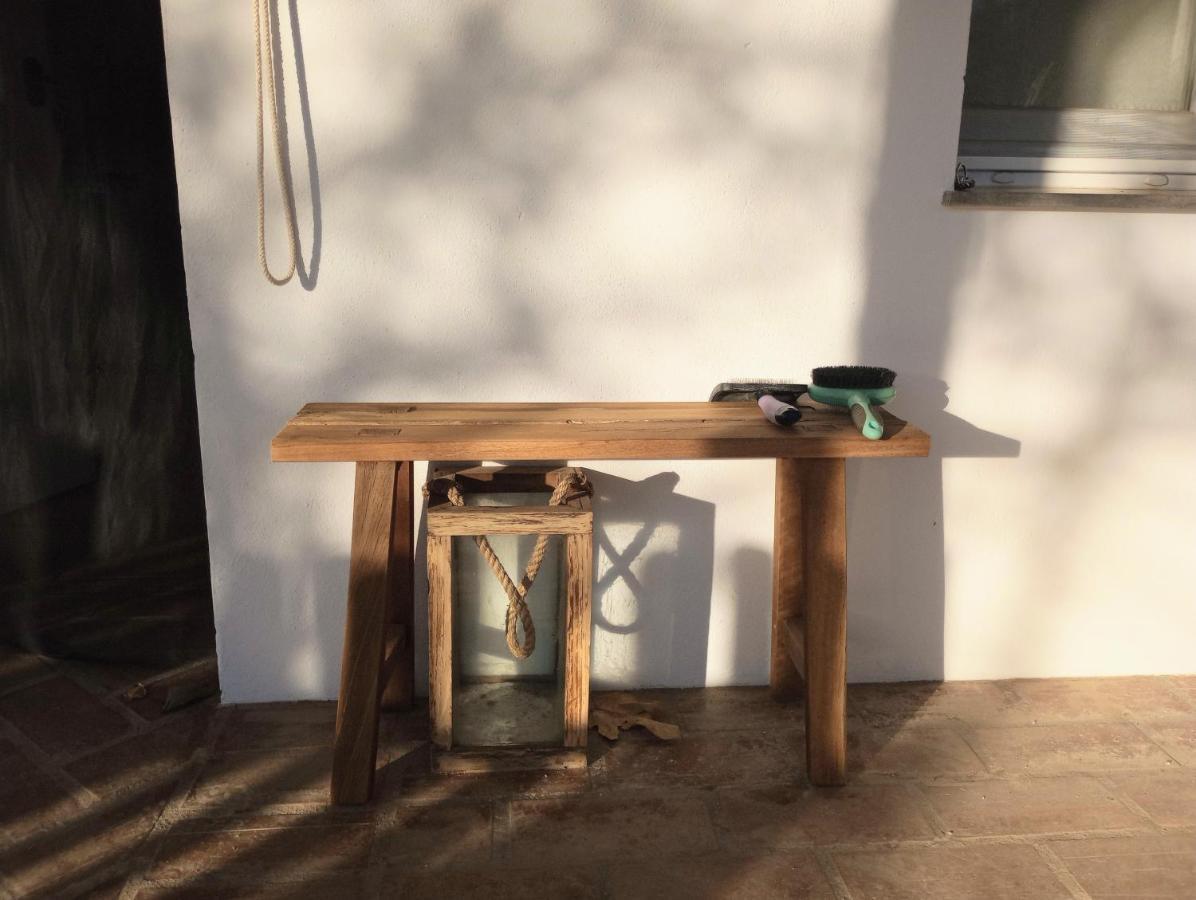 Casa De Campo Los Manueles Ideal Perros Pet Friendly Gojar Luaran gambar