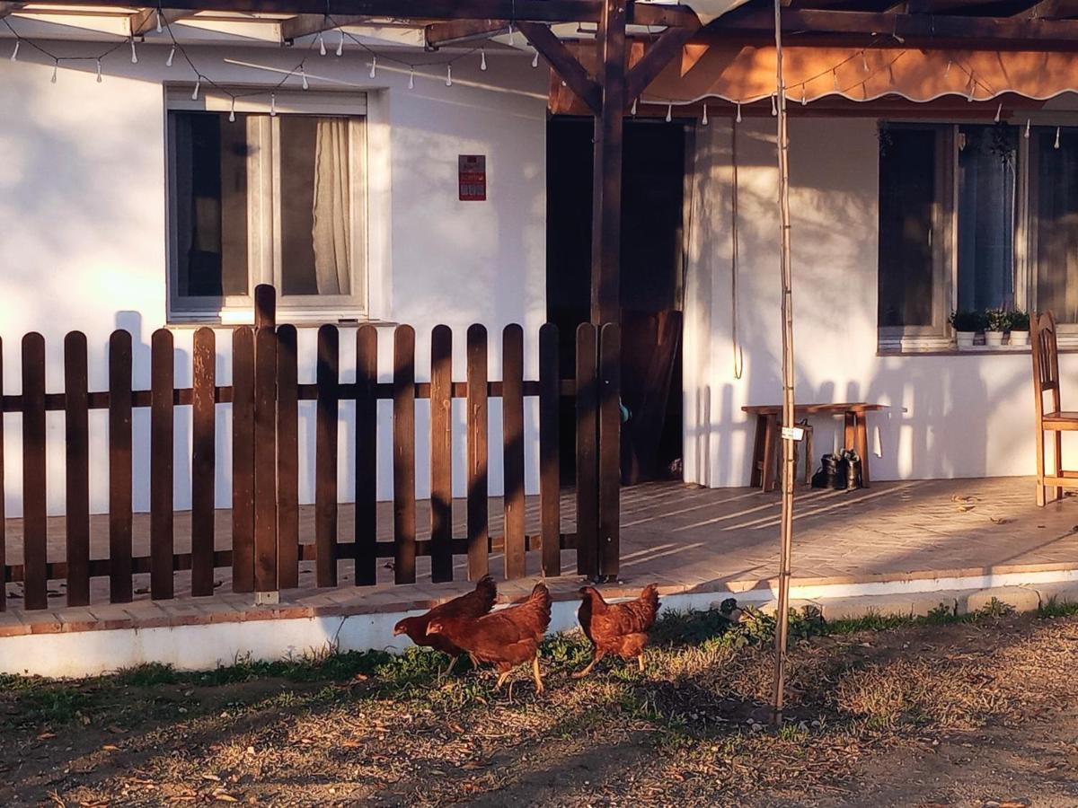 Casa De Campo Los Manueles Ideal Perros Pet Friendly Gojar Luaran gambar