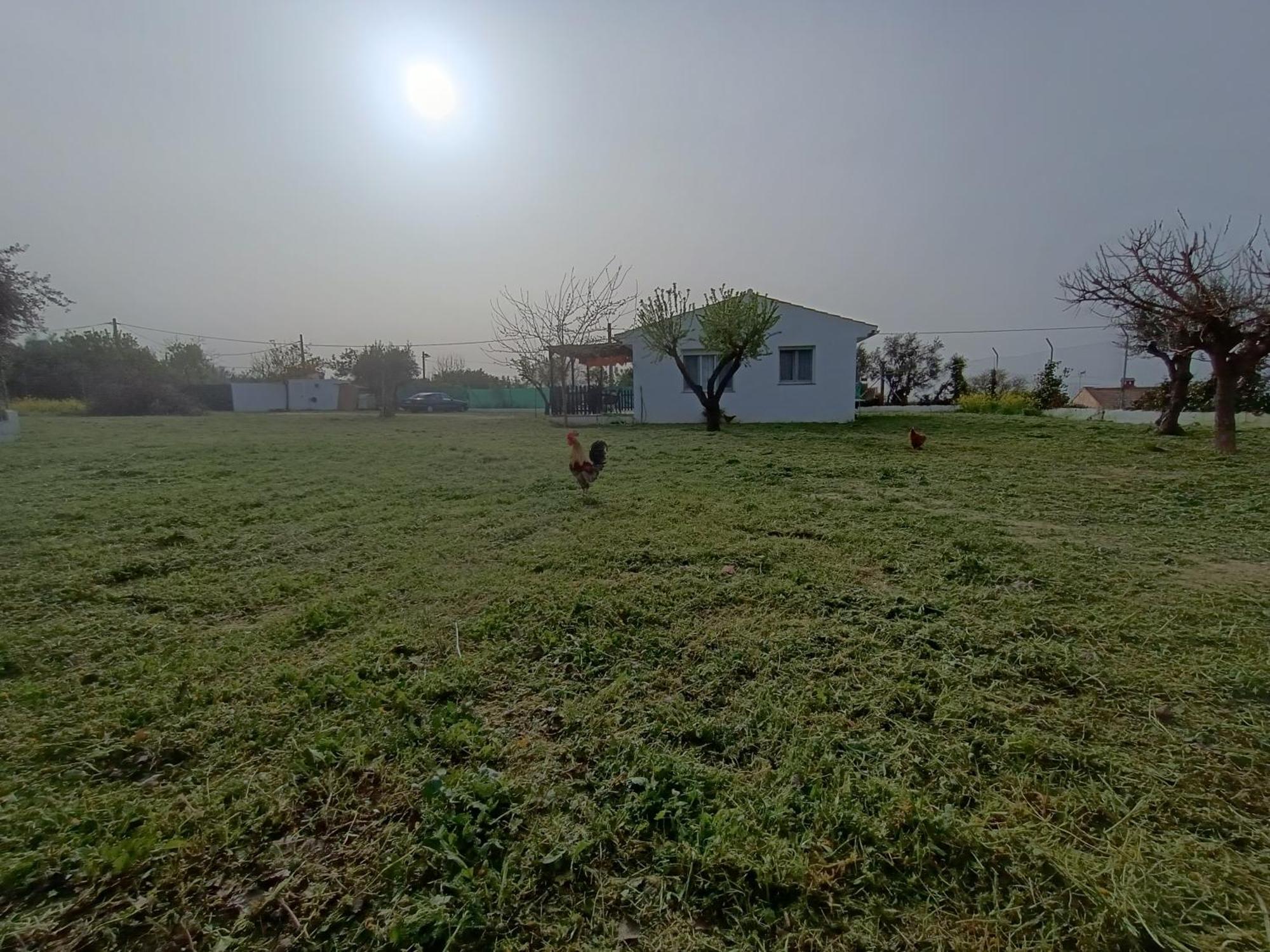 Casa De Campo Los Manueles Ideal Perros Pet Friendly Gojar Luaran gambar