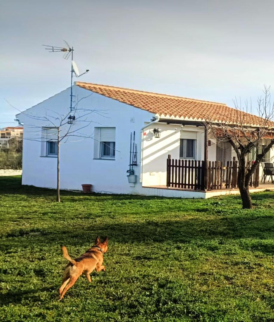 Casa De Campo Los Manueles Ideal Perros Pet Friendly Gojar Luaran gambar