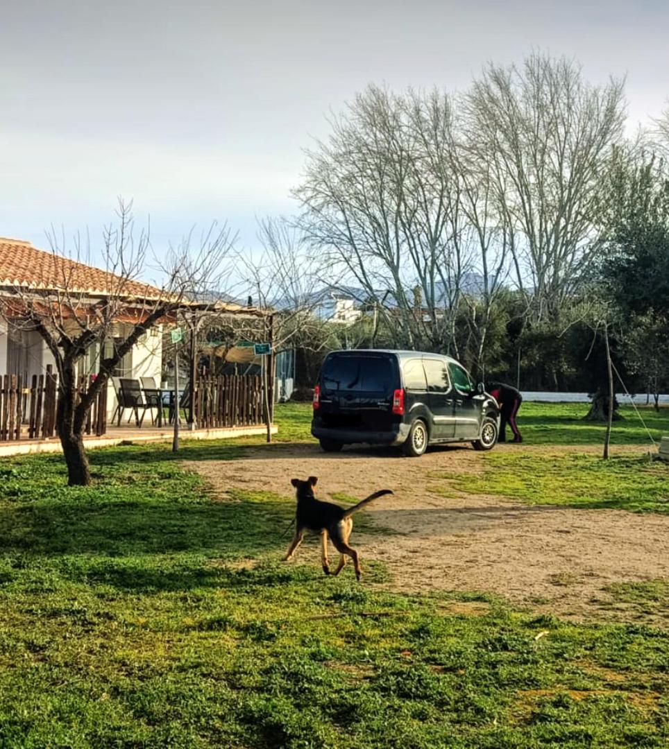 Casa De Campo Los Manueles Ideal Perros Pet Friendly Gojar Luaran gambar