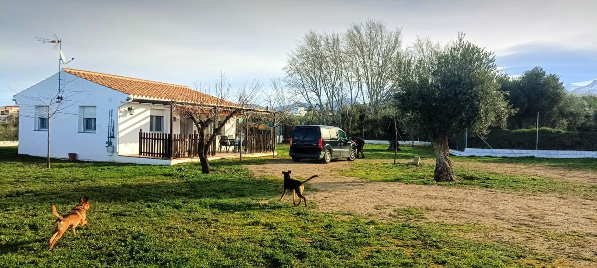 Casa De Campo Los Manueles Ideal Perros Pet Friendly Gojar Luaran gambar